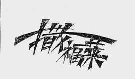撒福莱