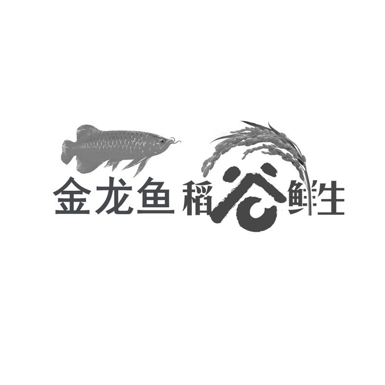 金龙鱼稻谷鲜生
