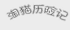 淘猫历险记