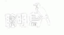 聪明鸟