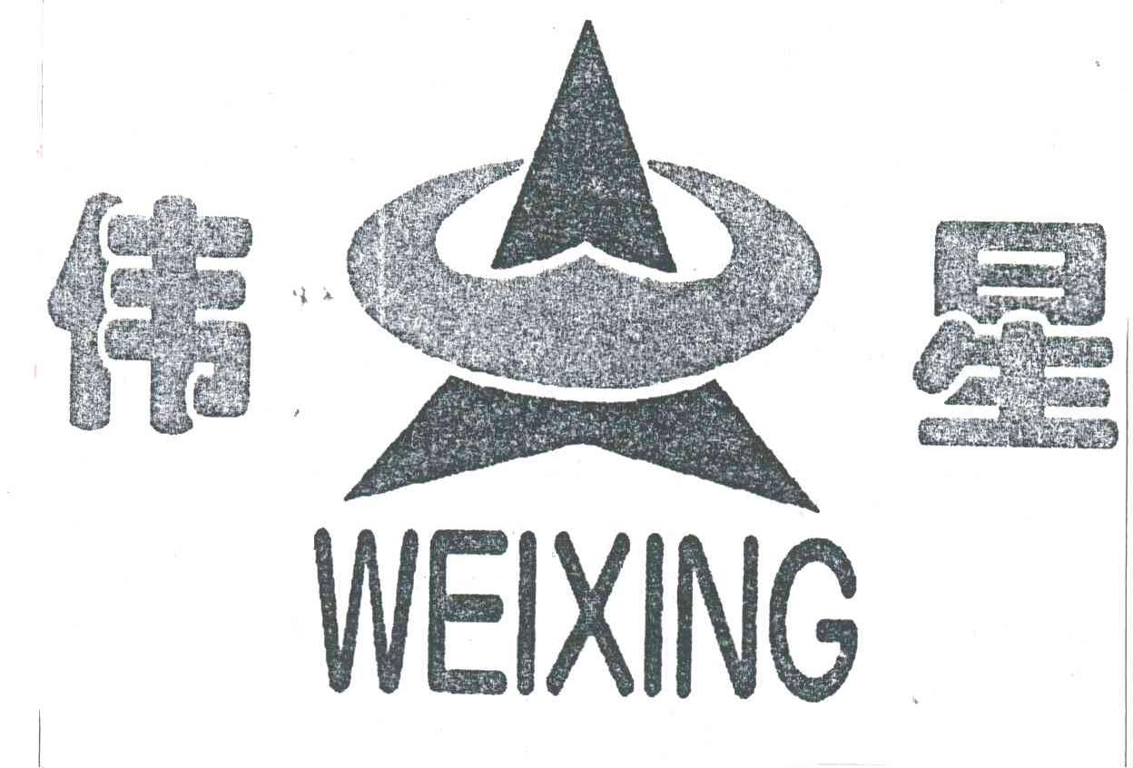 伟星;WEI XING