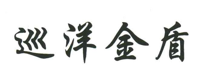 巡洋金盾