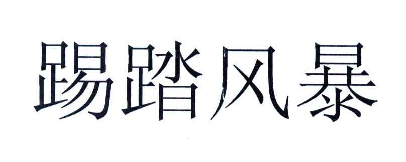 踢踏风暴
