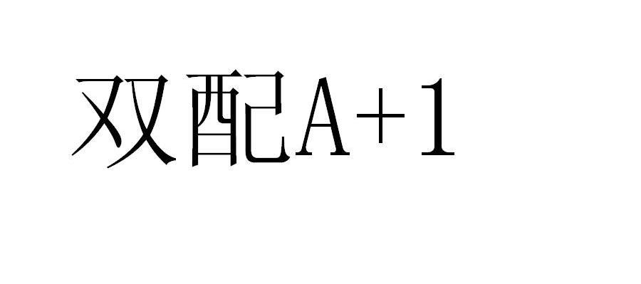 双配 A 1