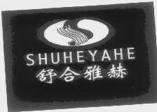 舒合雅赫