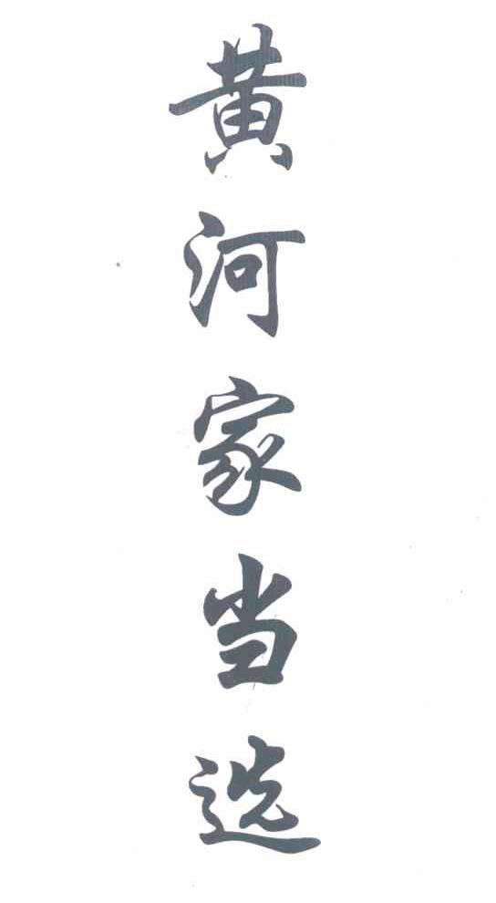 黄河家当选