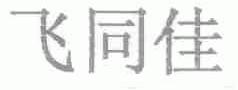 飞同佳