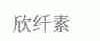 欣纤
