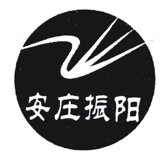 安庄振阳