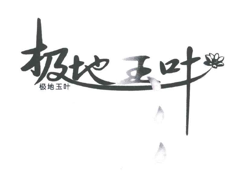 极地玉叶