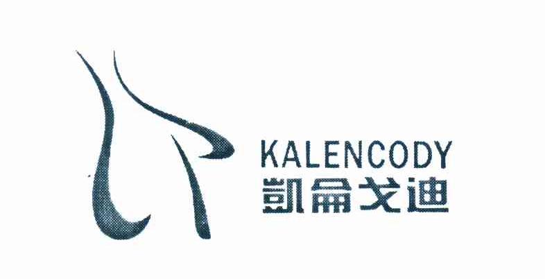 凯仑戈迪 KALENCODY
