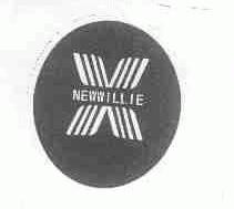 NEWWILL.IE
