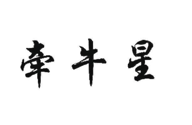 牵牛星