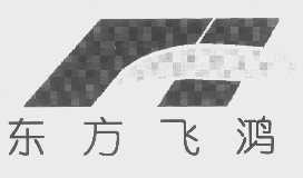 东方飞鸿