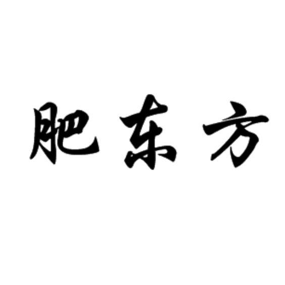 肥东方