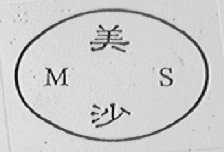 美沙