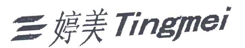 婷美