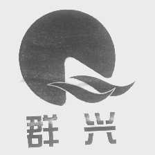 群兴