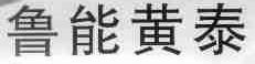 鲁能黄泰