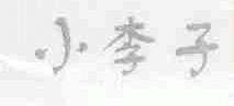 小李子