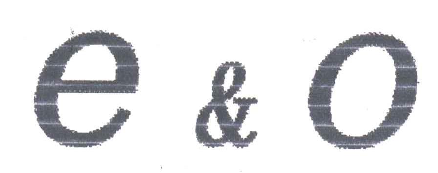 E&O