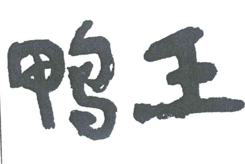 鸭王