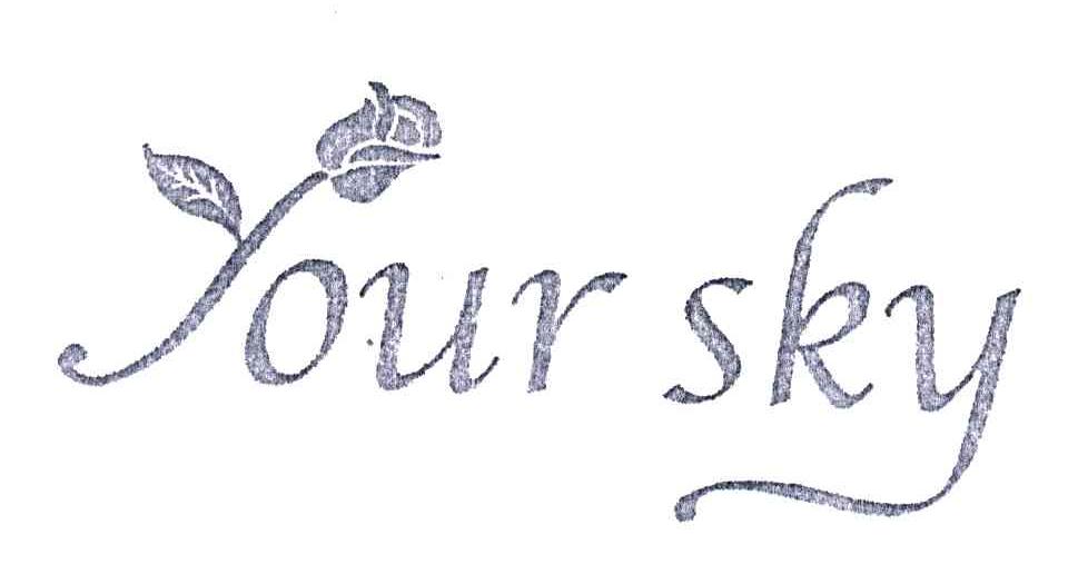 YOUR SKY