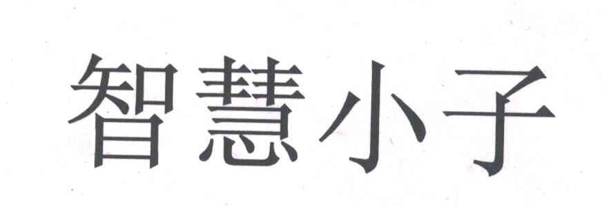 智慧小子
