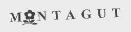 MONTAGUT