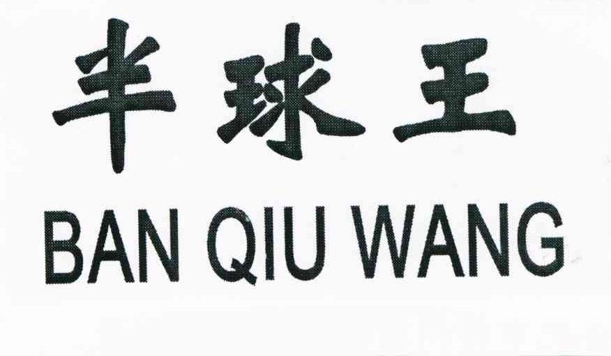 半球王