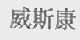 威斯康