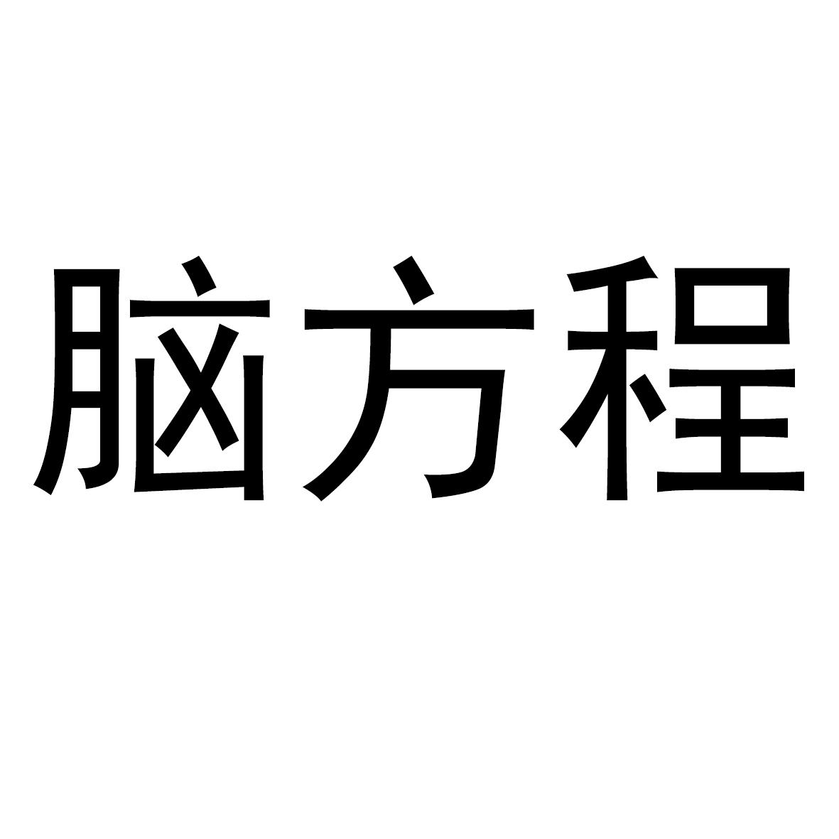 脑方程