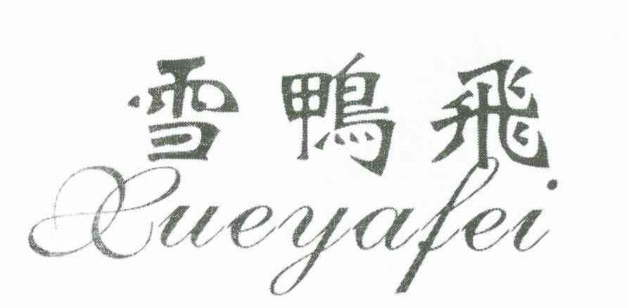 雪鸭飞