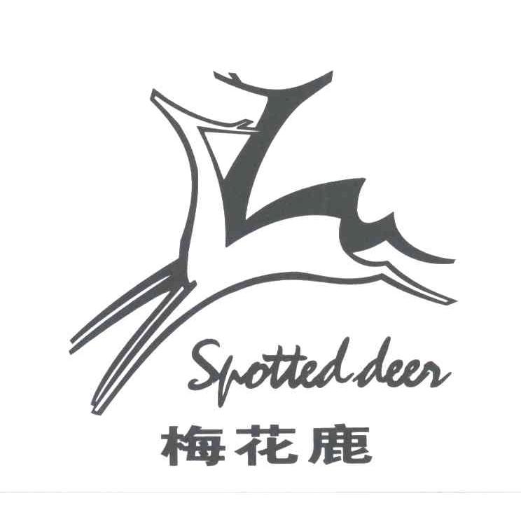 梅花鹿;SPOTTED DEER