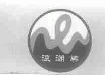 浪潮