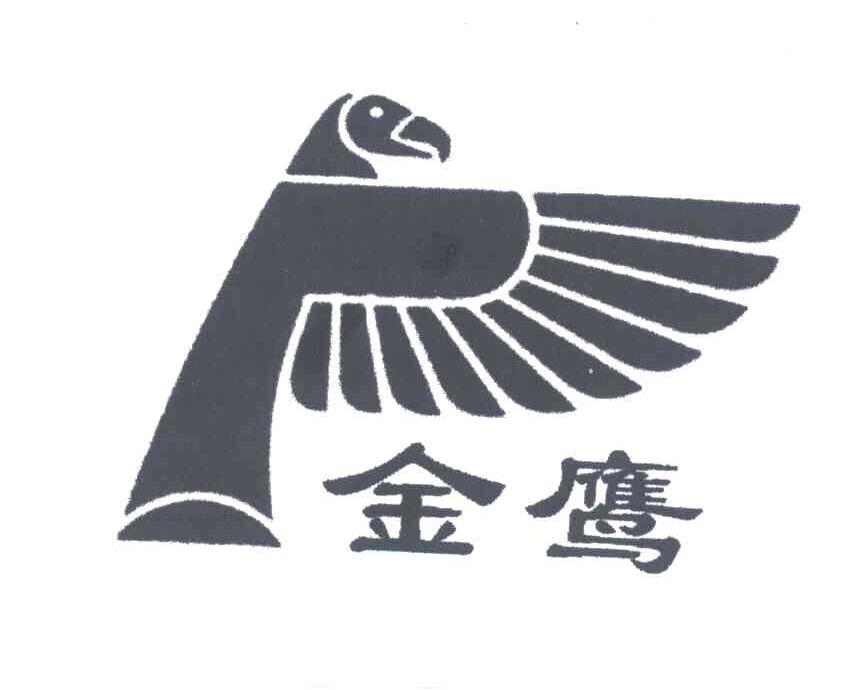 金鹰