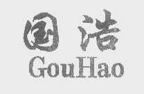 国浩   GOU HAO