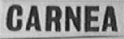 CARNEA