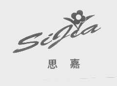 思嘉