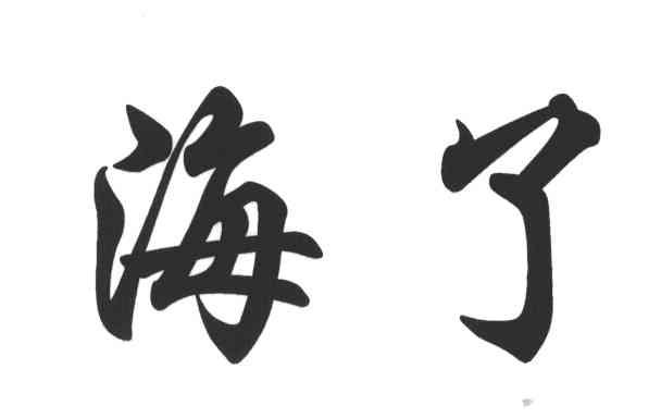海了