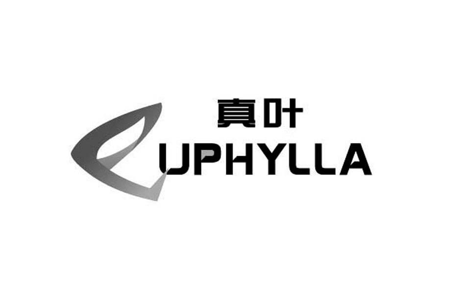 真叶 EUPHYLLA