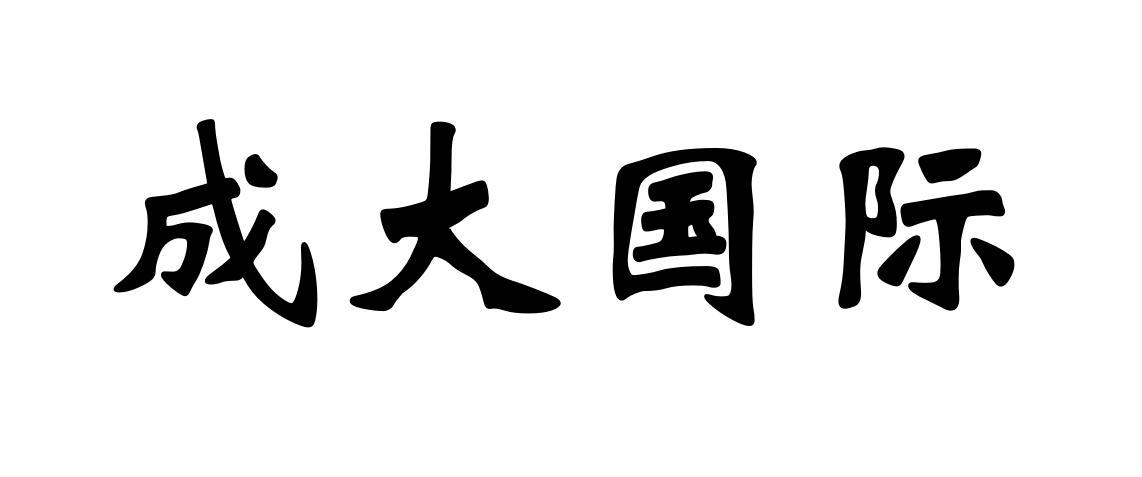 成大国际