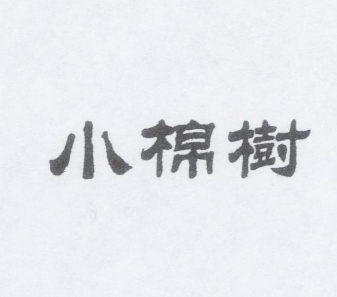 小棉树