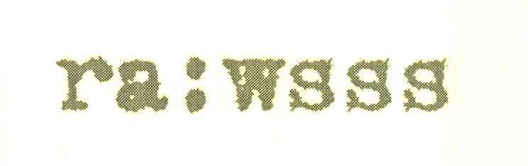 RA:WSSS