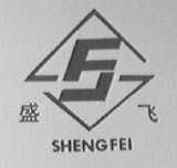 盛飞