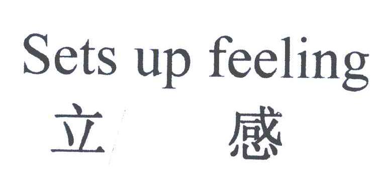 立感 SETS UP FEELING