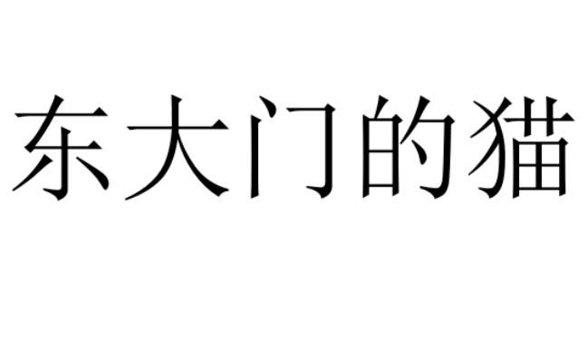 东大门的猫