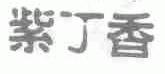紫丁香