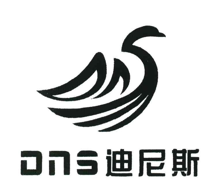 DNS;迪尼斯