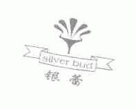 银蕾;SILVER BUD